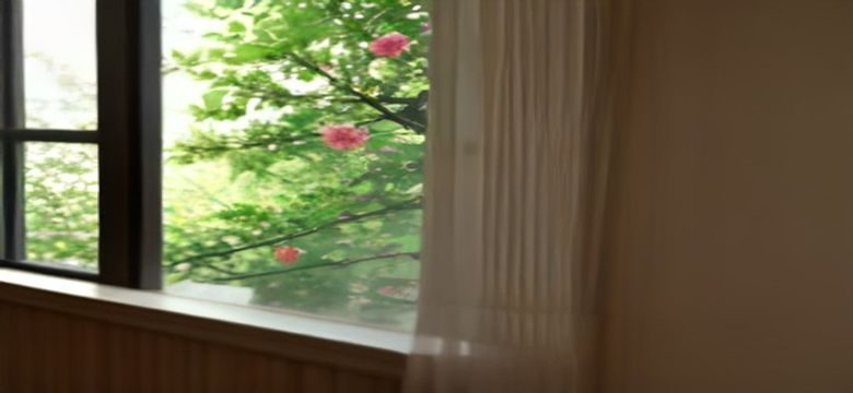 青青草视频1080P高清画质播放效果对比展示，左侧低画质模糊画面与右侧1080P清晰画面并列，视觉差距直观